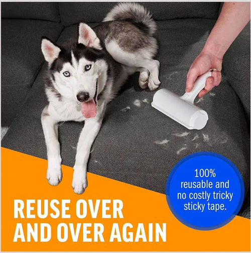 ChomChom Pet Hair Remover Reusable Cat and Dog Hair Remover